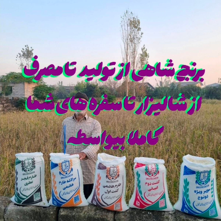 برنج ایرانی طارم هاشمی کشت دوم عطری فریدونکنار برند شاهی _ 10 کیلوگرم + ارسال رایگان با پست پیشتاز