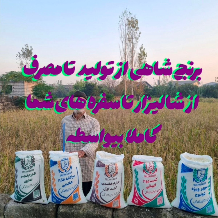 برنج ایرانی صدری اشرافی عطری فریدونکنار برند شاهی _ 60 کیلوگرم + ارسال رایگان با پست پیشتاز