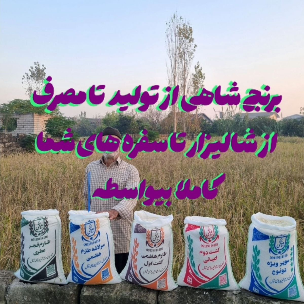 برنج ایرانی طارم سوپر ویژه دونوج فوق ممتاز عطری فریدونکنار برند شاهی _ 50 کیلوگرم + ارسال رایگان با پست پیشتاز