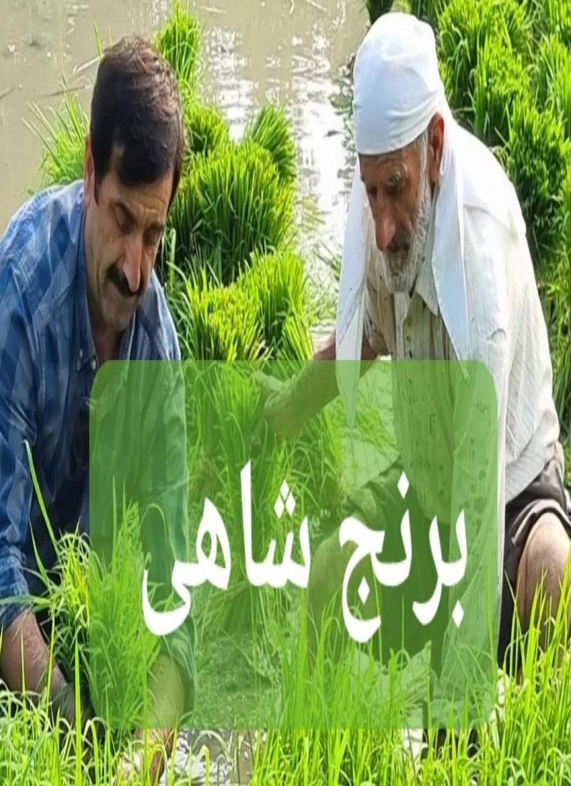 feature-image